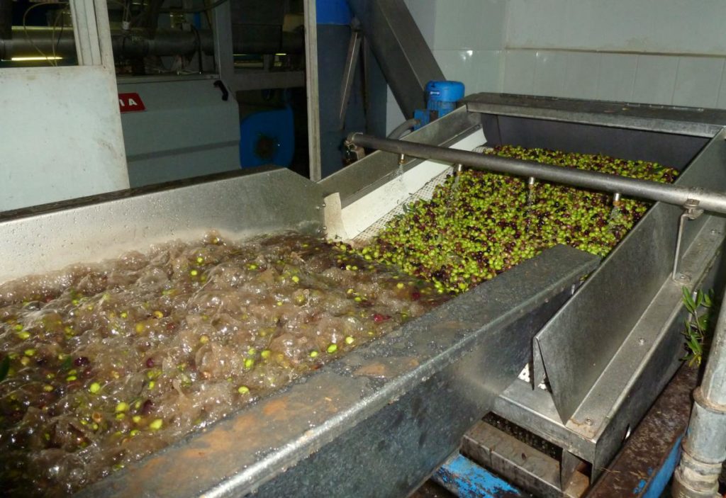Production agricole : recul des cultures industrielles
